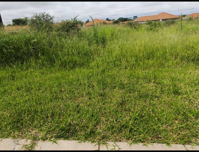 LAND FOR SALE IN CASA ACACIA